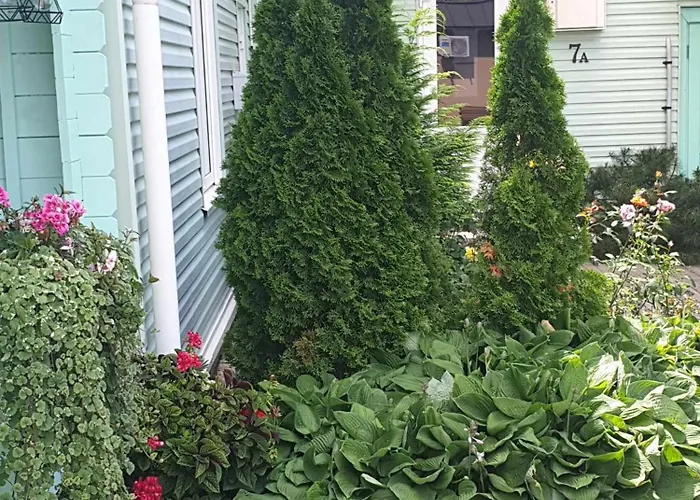 בית הארחה Nuoma Pas Rasa 3*