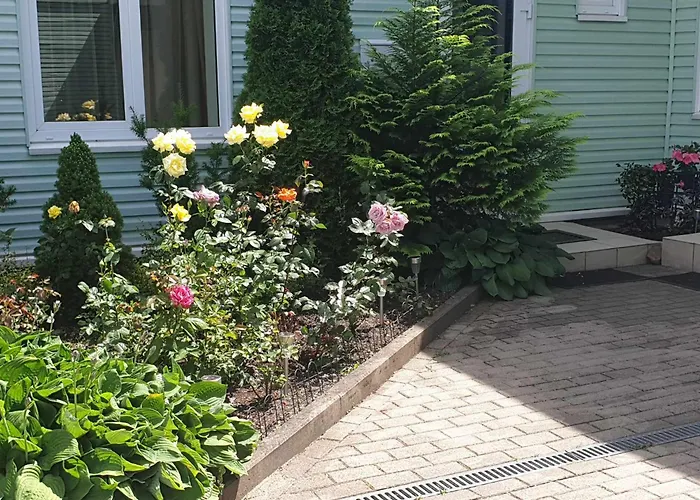 Nuoma Pas Rasa פלאנגה